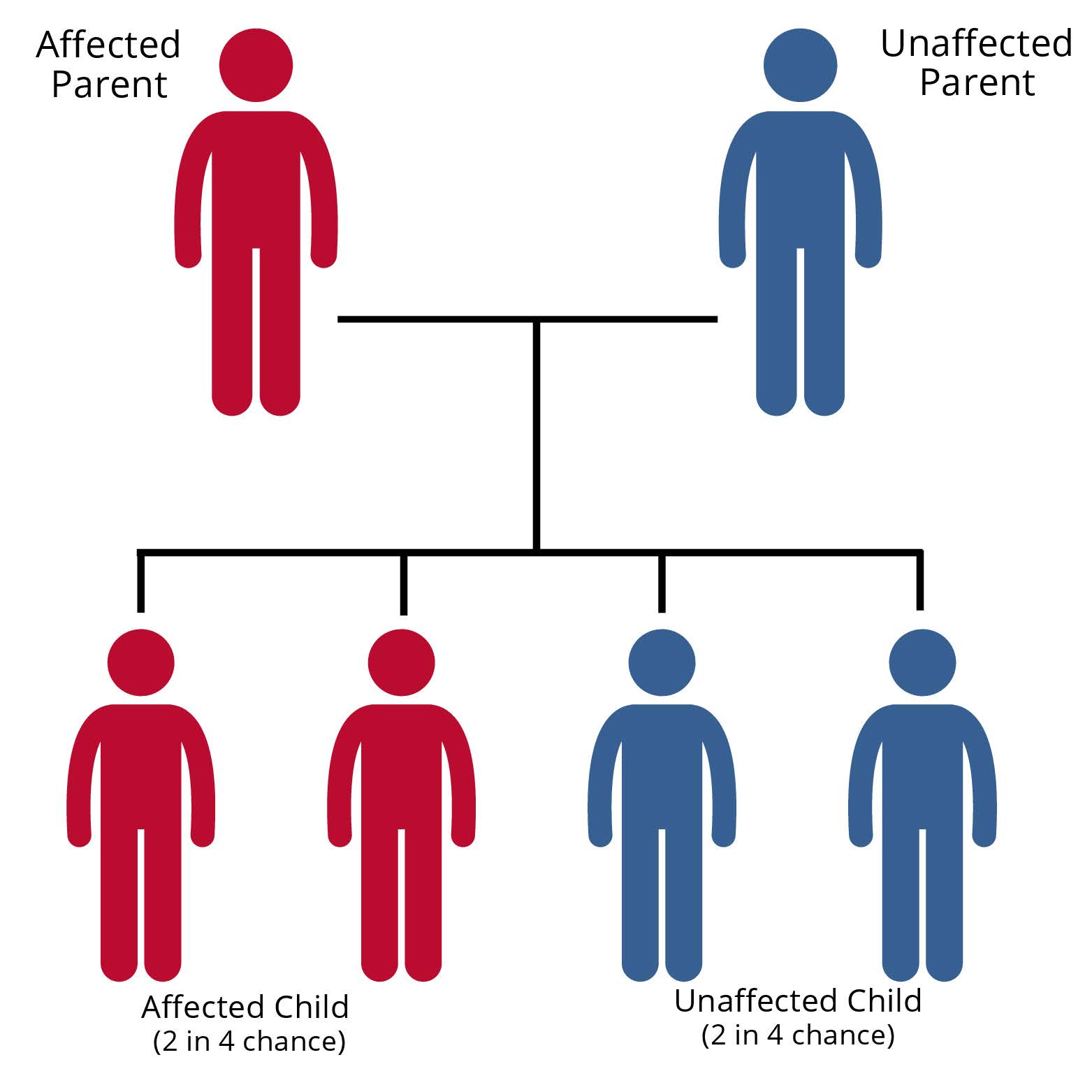 Basic genetics 1